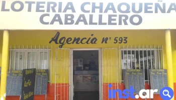 Agencia Oficial N°593 
