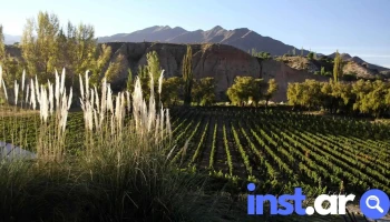Bodega Isasmendi - Cachi