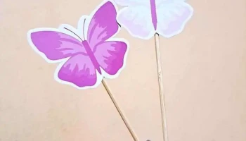 Cherry Diseños - San Luis