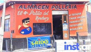 El 4 Patito del Newbery - Patagonia &