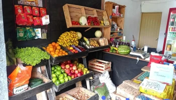 El triángulo de las verduras - Bovril