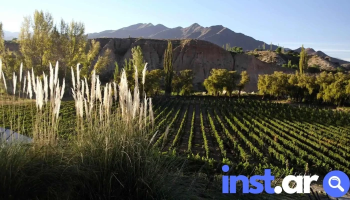 Bodega Isasmendi - Cachi