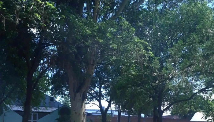 Camping Amudoch Resistencia -  Numero - Resistencia
