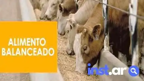 Cooperativa Agropecuaria R Sáenz Peña - Pampa Alegría