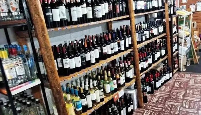 El Kiosco De Jose -  Interior - San Luis