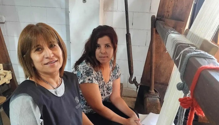 Fabrica De Alfombras Tecla Funes Horario - La Punta