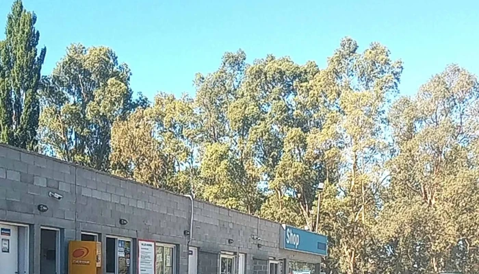 Gnc Cinco Saltos -  Puntaje - Cinco Saltos