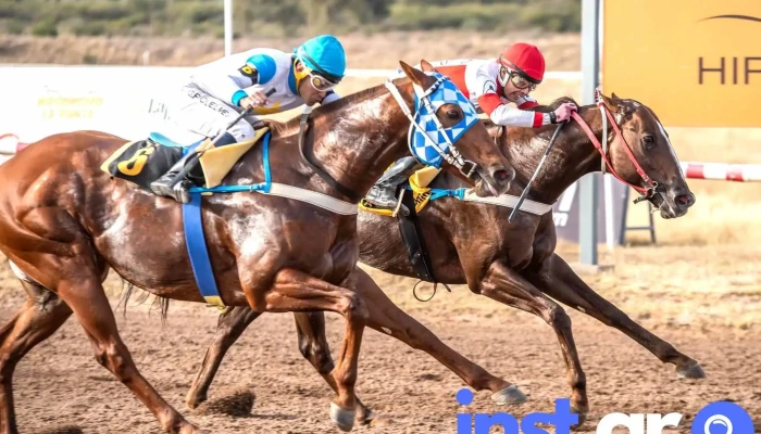 Hipodromo La Punta Del Propietario - San Luis