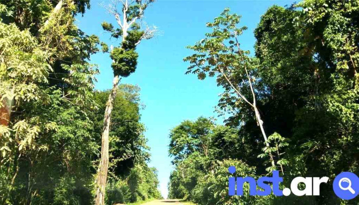 Iguazú Ahora - Puerto Iguazú