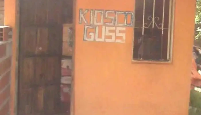 Kiosco Guss 24hs Sitio Web - Yapeyú
