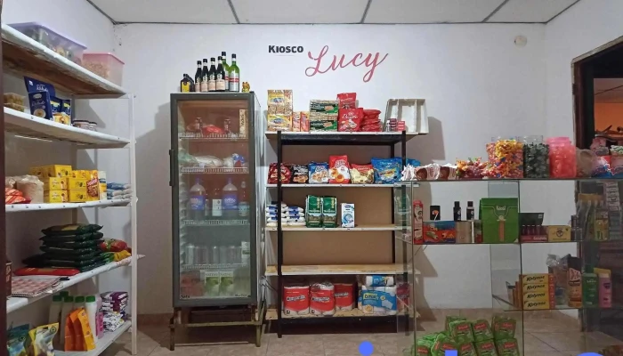 Kiosco Lucy -  Interior - Burruyacú
