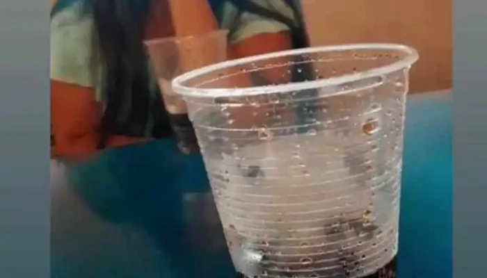 La Juana Chopp -  Videos - Yerba Buena