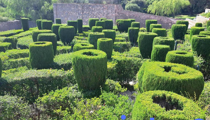 Laberinto Los Cocos - Córdoba