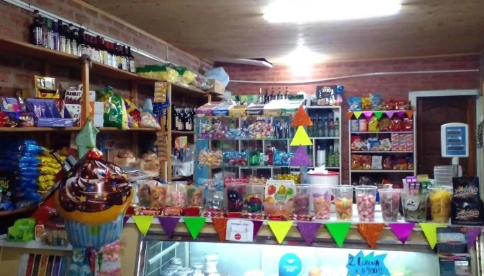 Maxi Kiosco Lo De Chelo -  Horario - Avia Terai