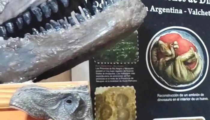 Museo Valcheta -  Videos - Valcheta