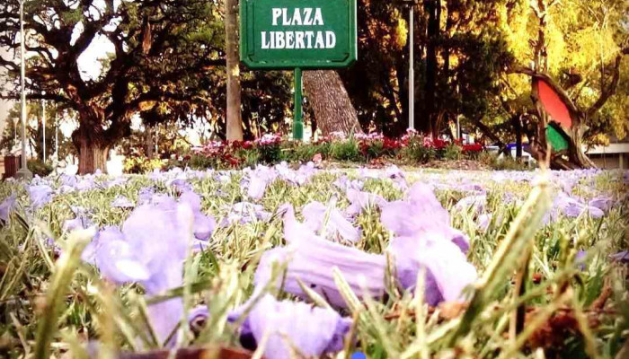 Nogoyá Noticias - Argentina