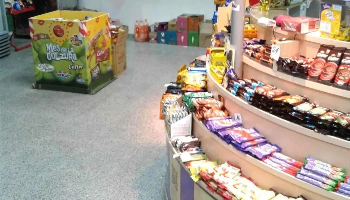 Pago fácil - Kiosco Homero - Gral. Pico