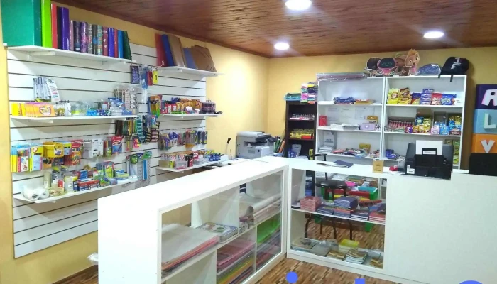 Proprev Servicios Libreria Y Salud Estante De Libros - Bella Vista