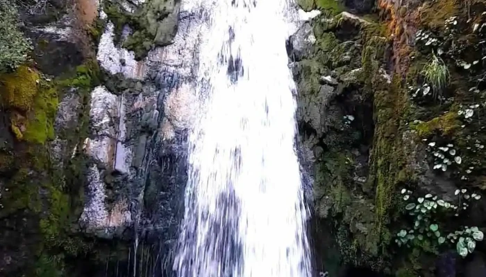 Turismo El Maitén - El Maitén