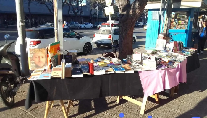 Vendedor Ambulante De Libros. - San Rafael